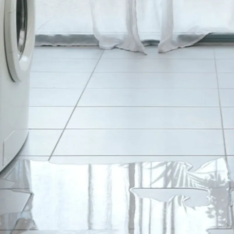 Appliance Leak Cleanup in Englewood, FL