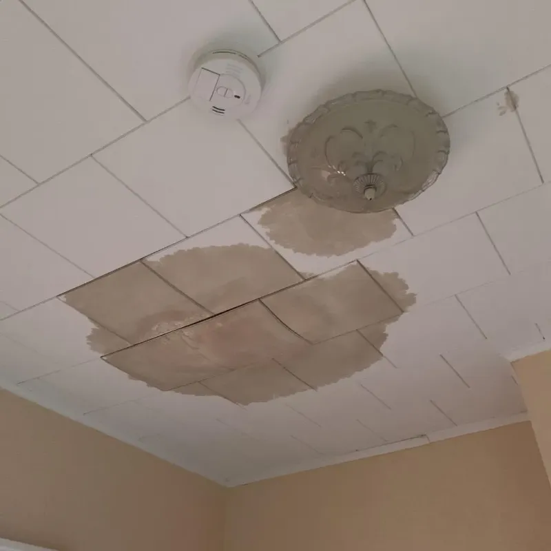 Ceiling Water Damage Repair in Englewood, FL